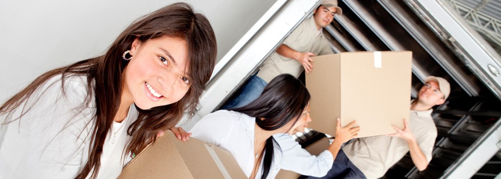 Professional Removalists Drillham South